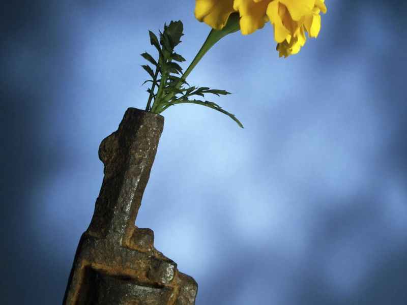 Enemies Into Brothers and&nbsp;Sisters